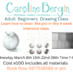 Adult Beginners Drawing Class
